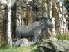 Ein Elch